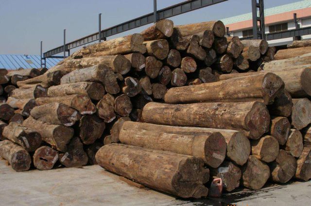 木材缩量 原木成交量同比下滑12.7%