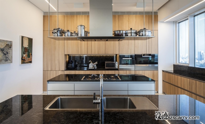 the-art-collector-apartment-2_025.jpg 家装参考,厨房,带岛台,