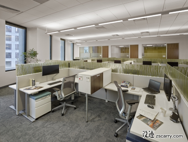 MKThink-The_Nature_Conservancy196725.jpg 工装参考,办公空间,开放办公区,
