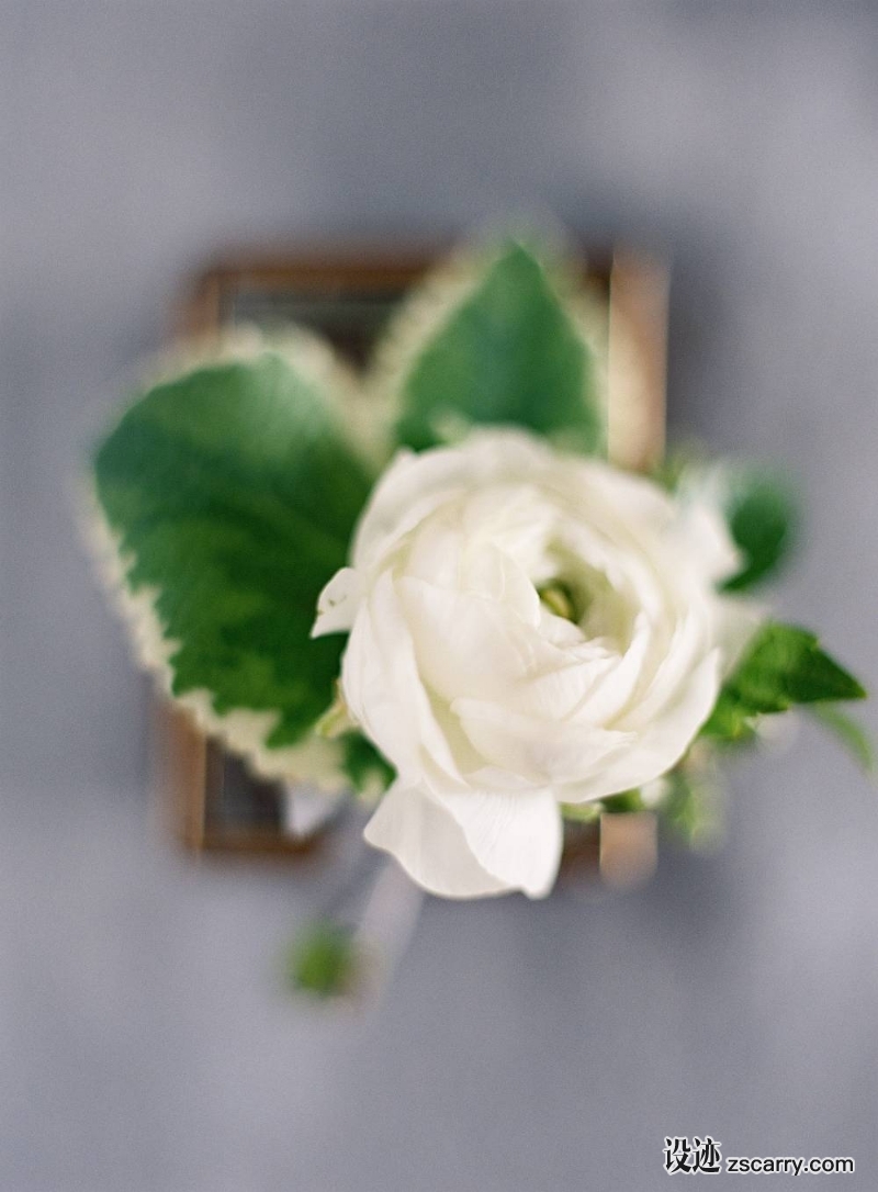 2-008080-r1-009-w1000.jpg 软装参考,婚庆布置,花艺,