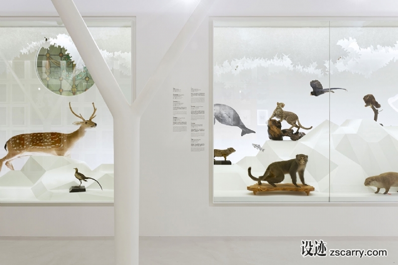 f5_discovering_taiwan_national_taiwan_museum_designed_by_studio_ting_photo_christophe_gaubert_yatzer.jpg 工装参考,展示空间,展位展馆,