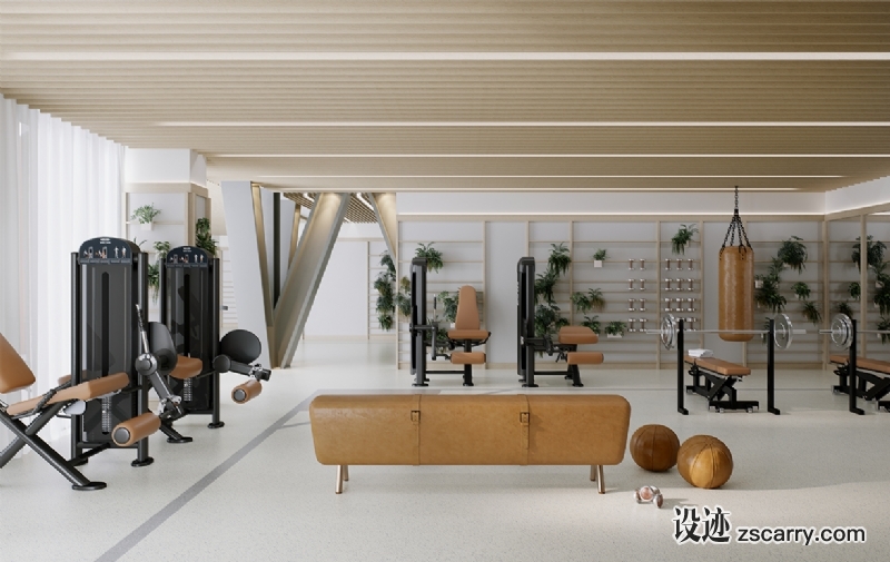 OCP-single-Gym.jpg 工装参考,文体医教,健身房,