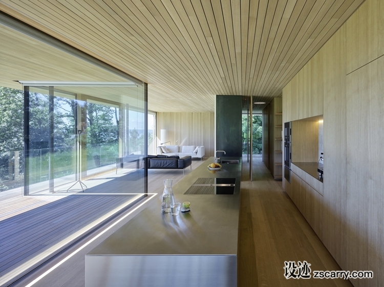 house-d-dietrich-untertrifaller-architekten-5.jpg 局部参考,厨房元素,岛台,