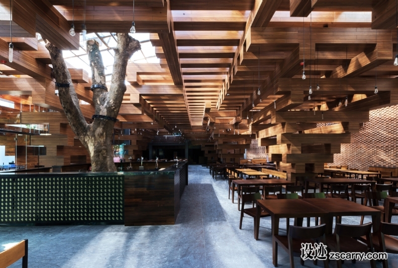 (c)_Nguyen_Tien_Thanh_-_CR_(13).jpg 局部参考,天花,栅格,