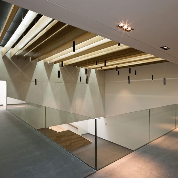 6c105a07-520e-4963-ad8d-38b1d5758675.jpg 局部参考,天花,天窗,