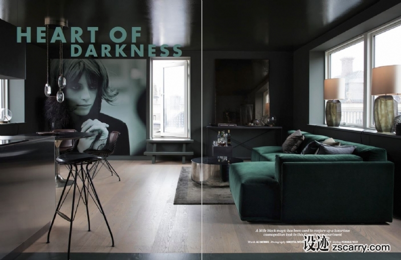 regfebv.JPG 软装参考,客厅搭配,现代气氛,