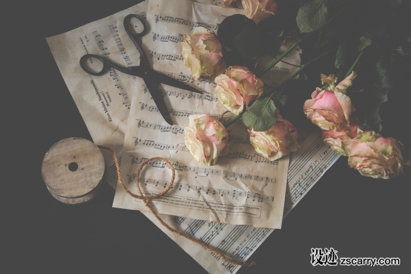 pink-roses-scissors-rope-music-notes-romantic-vintage-1418887-pxhere.com.jpg 方案配图,客户爱好,音乐,