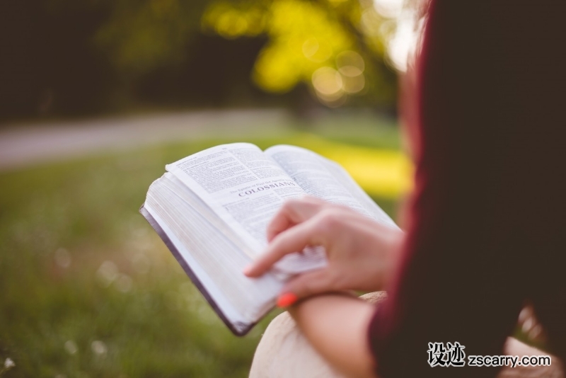 person_reading_book_holding_sitting-508197.jpg 方案配图,客户爱好,阅读,