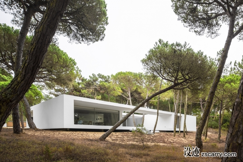 12.jpg 建筑参考,住宅建筑,独栋别墅,