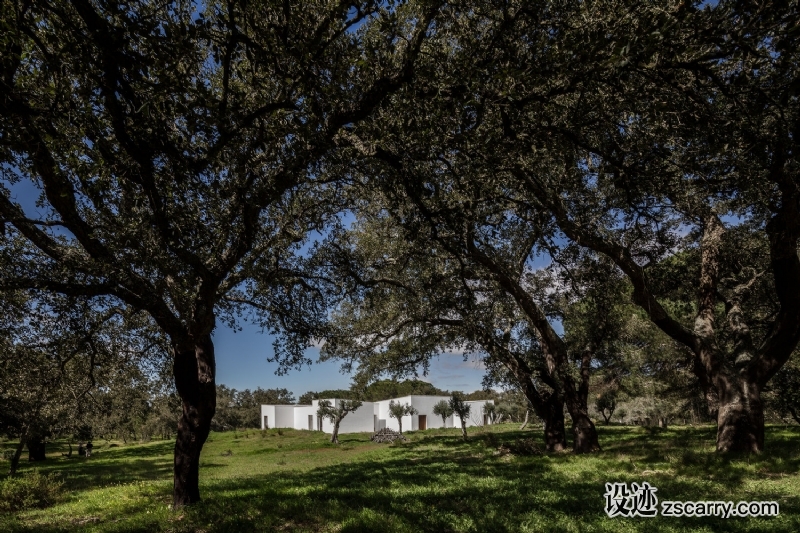 PatioHouse_04_HiRes.jpg 建筑参考,住宅建筑,独栋别墅,