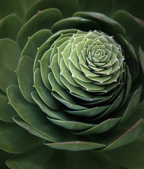 1d4549c3532fb795c2ecd252100c2787.jpg 方案配图,色彩意境,绿色,