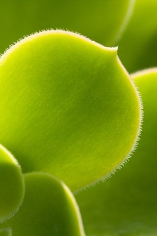 3daa82e0c73f9e116269af5dd4a67a79.jpg 方案配图,色彩意境,绿色,