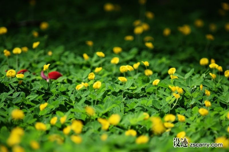 4b7d94ab0b9c8bbdd6da605616f9-1431721.jpg 方案配图,色彩意境,绿色,