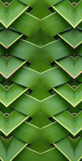 4b54995713983b8c53f165b4748559ab.jpg 方案配图,色彩意境,绿色,