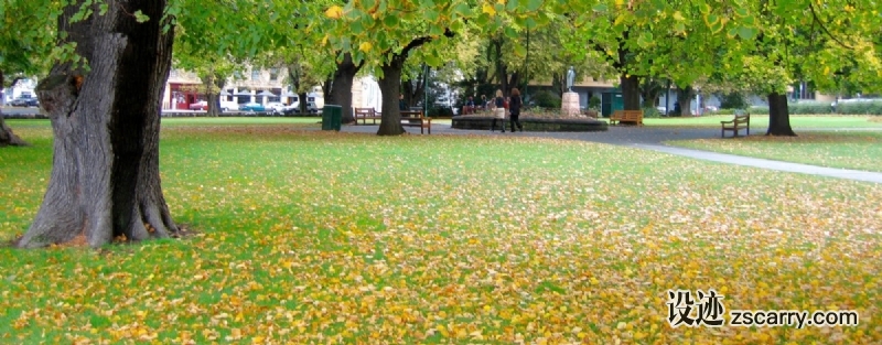 73ea050c48d7ae3aa22be547899c-1425699.jpg 方案配图,色彩意境,绿色,
