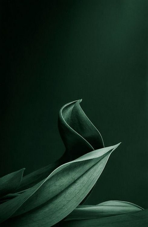 599029fdb55ca5c54e9b5f99ba37e2b8.jpg 方案配图,色彩意境,绿色,