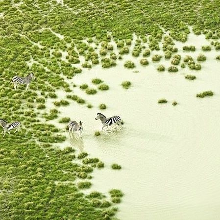 20482731_246368669208094_8276034420385775616_n.jpg 方案配图,色彩意境,绿色,