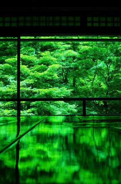 d4f68a7bc349473516759ffca30b495a.jpg 方案配图,色彩意境,绿色,