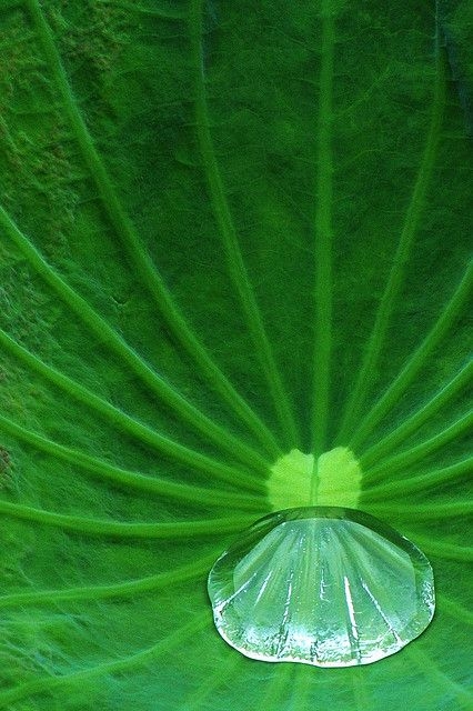 d7f7f50e43836c723afe0886a03518c2.jpg 方案配图,色彩意境,绿色,