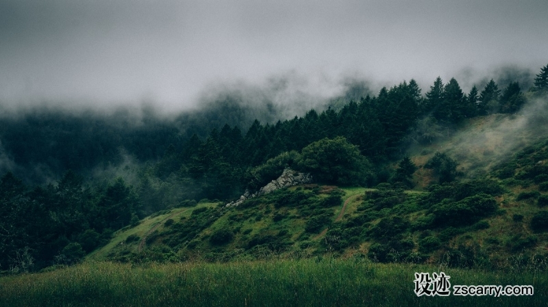 fog_nature_landscape_field_forest-233.jpg 方案配图,色彩意境,绿色,