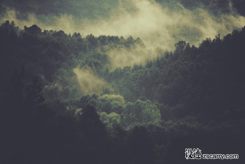 forest_fog_cloud-109942.jpg 方案配图,色彩意境,绿色,