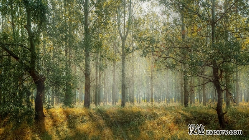 green_park_season_nature_outdoor_green_background_landscape_natural-839604.jpg 方案配图,色彩意境,绿色,