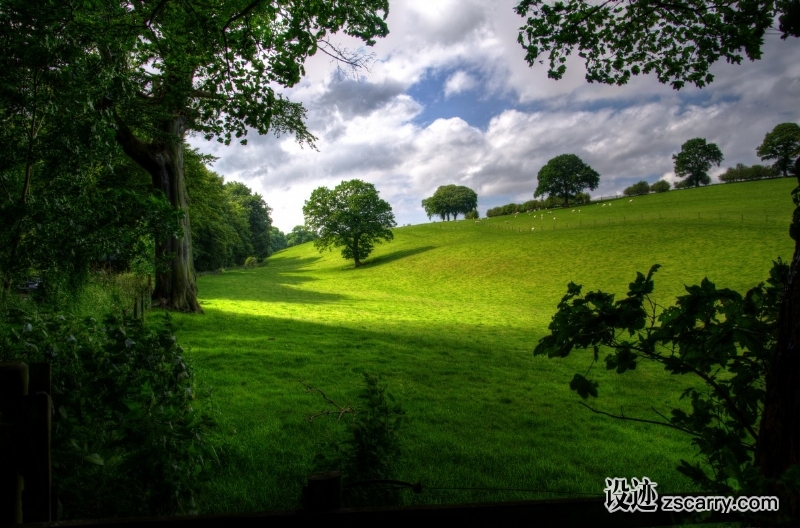 landscape_spring_wood_scenic_green_trees_nature_meadow-1096573.jpg 方案配图,色彩意境,绿色,