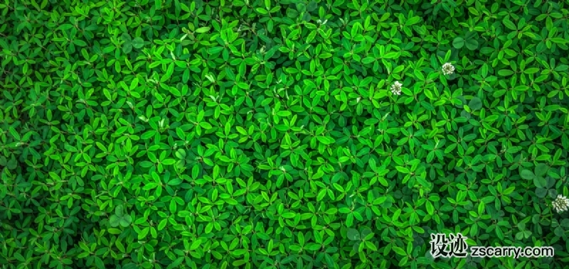 leaf_nature_green_spring_abstract_plants_herb_grass-593466.jpg 方案配图,色彩意境,绿色,