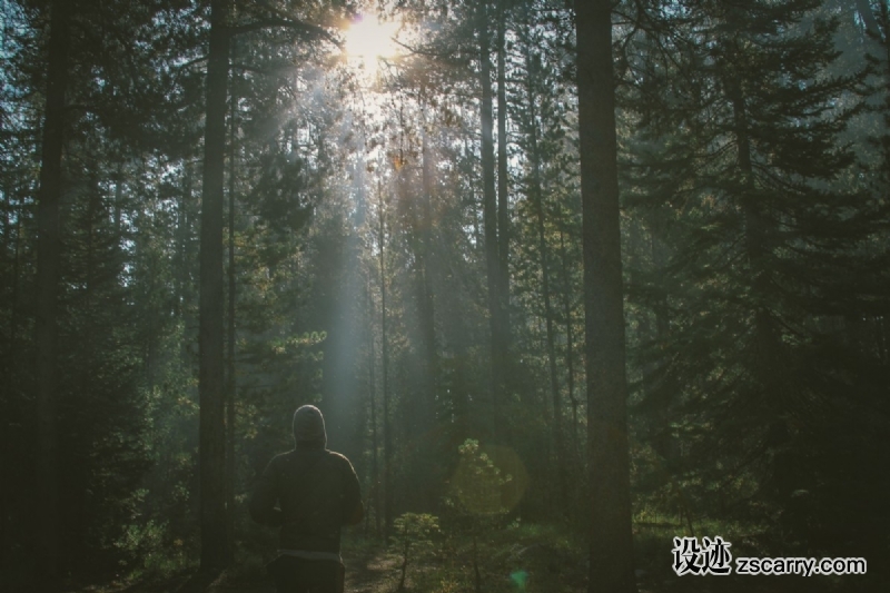 nature_forest_shine_tree_man-596.jpg 方案配图,色彩意境,绿色,