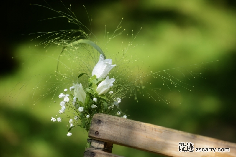 nature-grass-branch-plant-photography-sunlight-leaf-flower-chair-bouquet-green-insect-romantic-wedding-flora-fauna-invertebrate-flowers-close-up-chairs-moisture-mac.jpg 方案配图,色彩意境,绿色,