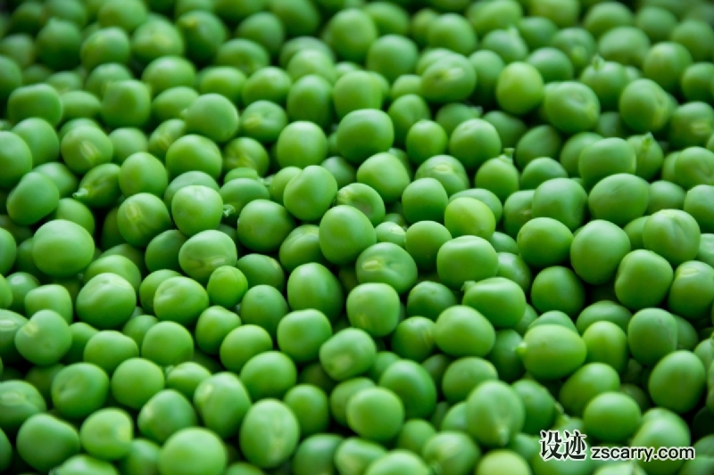 pea_peas_vegetables_green_food_healthy_vegetarian_vegetable-1050058.jpg 方案配图,色彩意境,绿色,