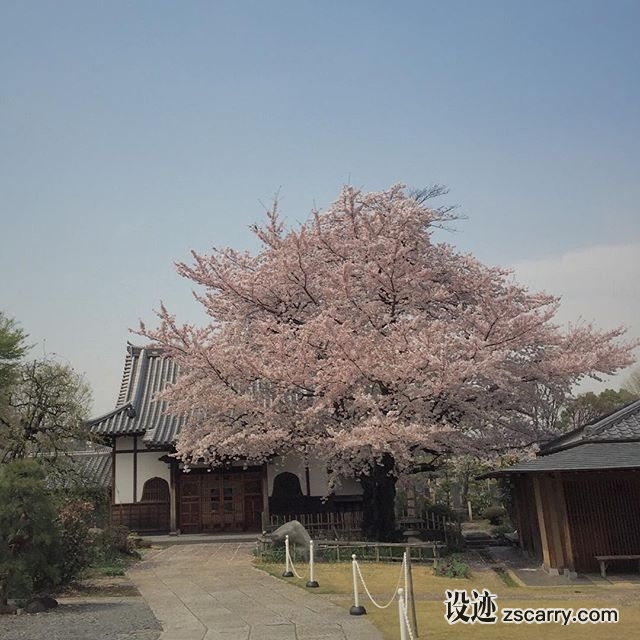 21373325_1601541576578879_3916634866824773632_n.jpg 建筑参考,局部元素,外墙,