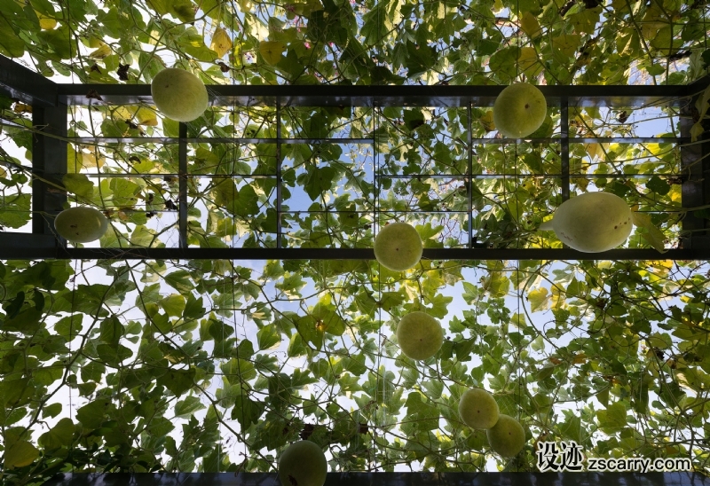 LAB_MPG006.jpg 建筑参考,景观园林,