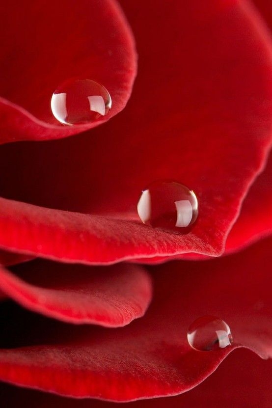 6b9ec151c220848de4396fb6469980d5.jpg 方案配图,色彩意境,红色,