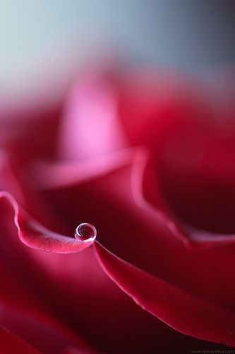 23cf28a5d741d3e6faed665bd5d6a637.jpg 方案配图,色彩意境,红色,