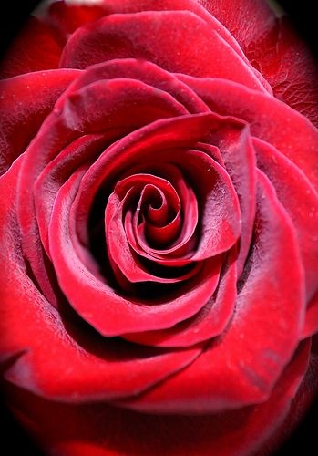 133a52da942e12e6f4a6057c92618734.jpg 方案配图,色彩意境,红色,