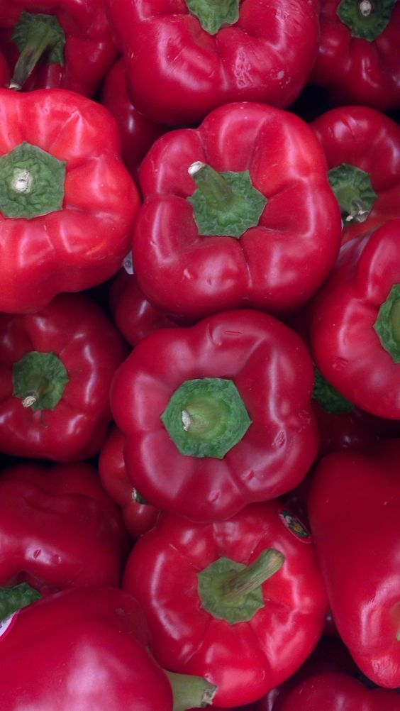 5955dc9bb63a8f77a0715834d0573e0d.jpg 方案配图,色彩意境,红色,