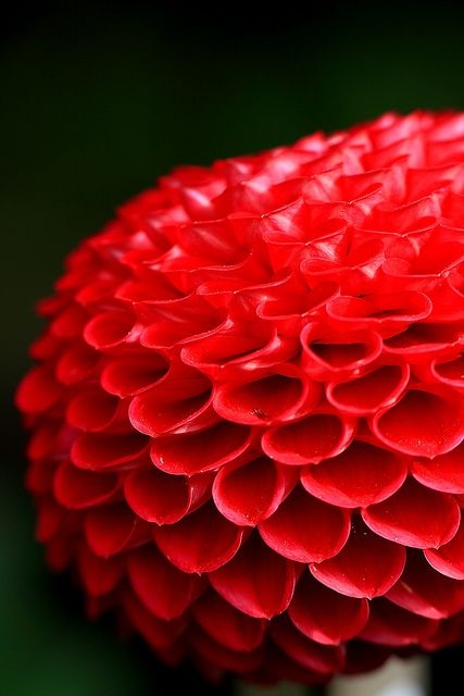 30474c0121a12a4afcc85b983155961b.jpg 方案配图,色彩意境,红色,