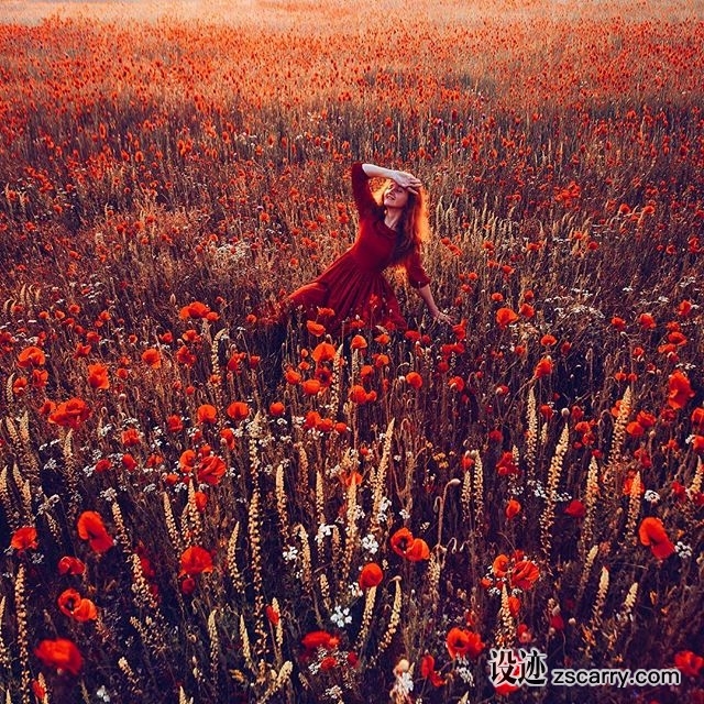 13108592_1692644480985741_1023288504_n.jpg 方案配图,色彩意境,红色,