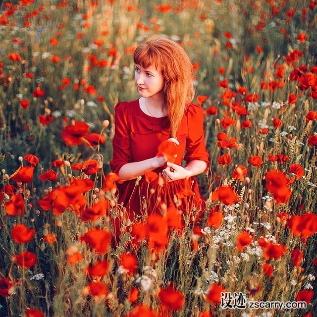 13116687_1875685662658332_238276503_n.jpg 方案配图,色彩意境,红色,