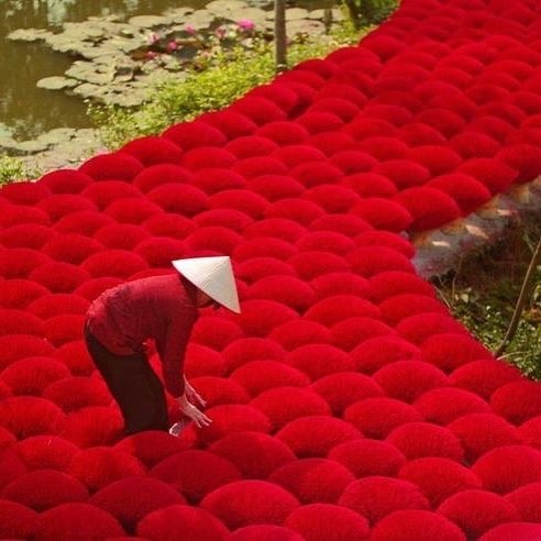 21433792_110554959684900_2127584338668158976_n.jpg 方案配图,色彩意境,红色,