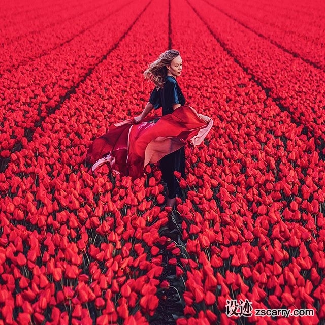 30981731_2041501979504277_3314506260384055296_n.jpg 方案配图,色彩意境,红色,