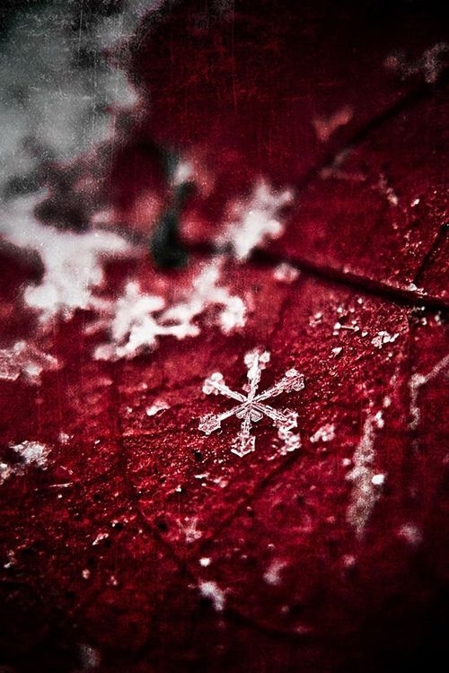 a6fdcccf2af230add973623092e0affe.jpg 方案配图,色彩意境,红色,