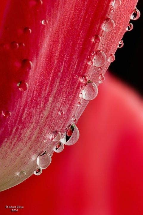 b8bb7ab3255a58839722a0722bddcbcb.jpg 方案配图,色彩意境,红色,