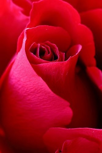 c81c592b76a4d48f23d096eb452051d5.jpg 方案配图,色彩意境,红色,