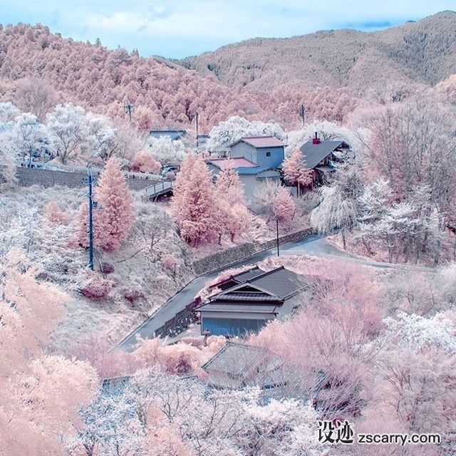 29094638_129161161256936_4555999177569468416_n.jpg 方案配图,色彩意境,粉色,