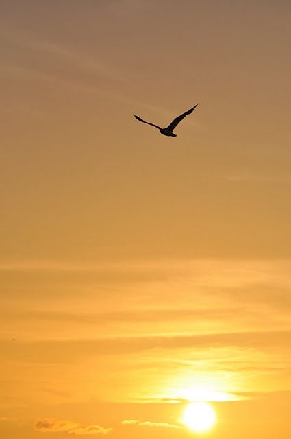 1f24512114fb27f89dda6129bfe27bba.jpg 方案配图,色彩意境,橙色,