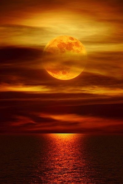 7a759c66d4b1fdf56154400d1e4d0184.jpg 方案配图,色彩意境,橙色,