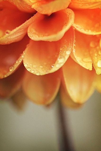 63f0cb10d8816e3d9ba85470a3ef9e43.jpg 方案配图,色彩意境,橙色,