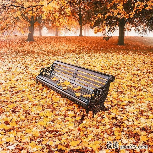 22427533_349801038798687_2819944809223946240_n.jpg 方案配图,色彩意境,橙色,